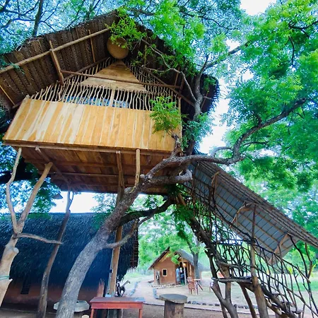 Yala Village Eco Tree House Tissamaharama Extérieur photo