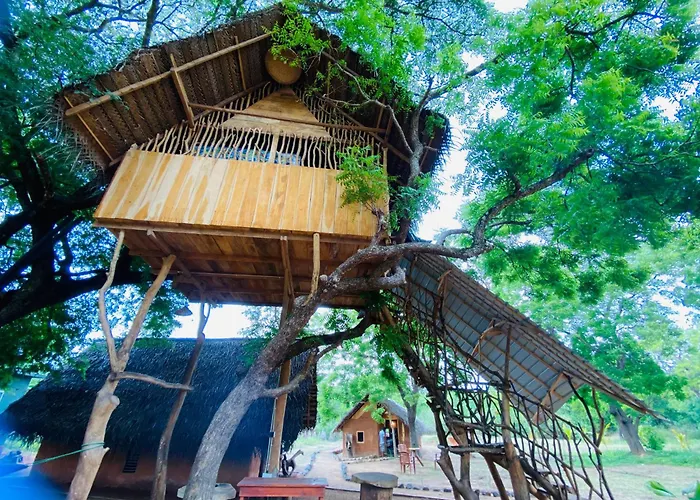 Yala Village Eco Tree House