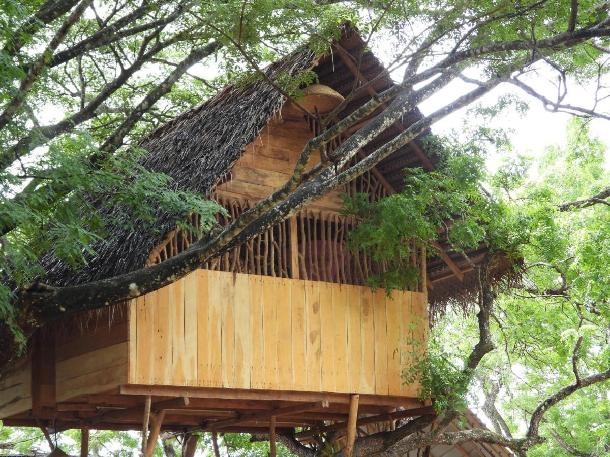 Yala Village Eco Tree House * Tissamaharama