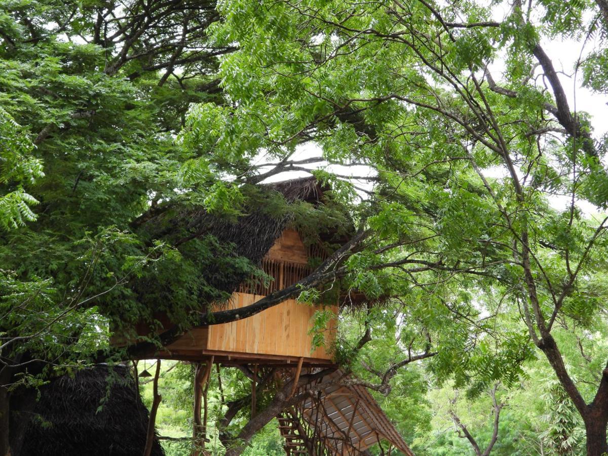Lodge Yala Village Eco Tree House