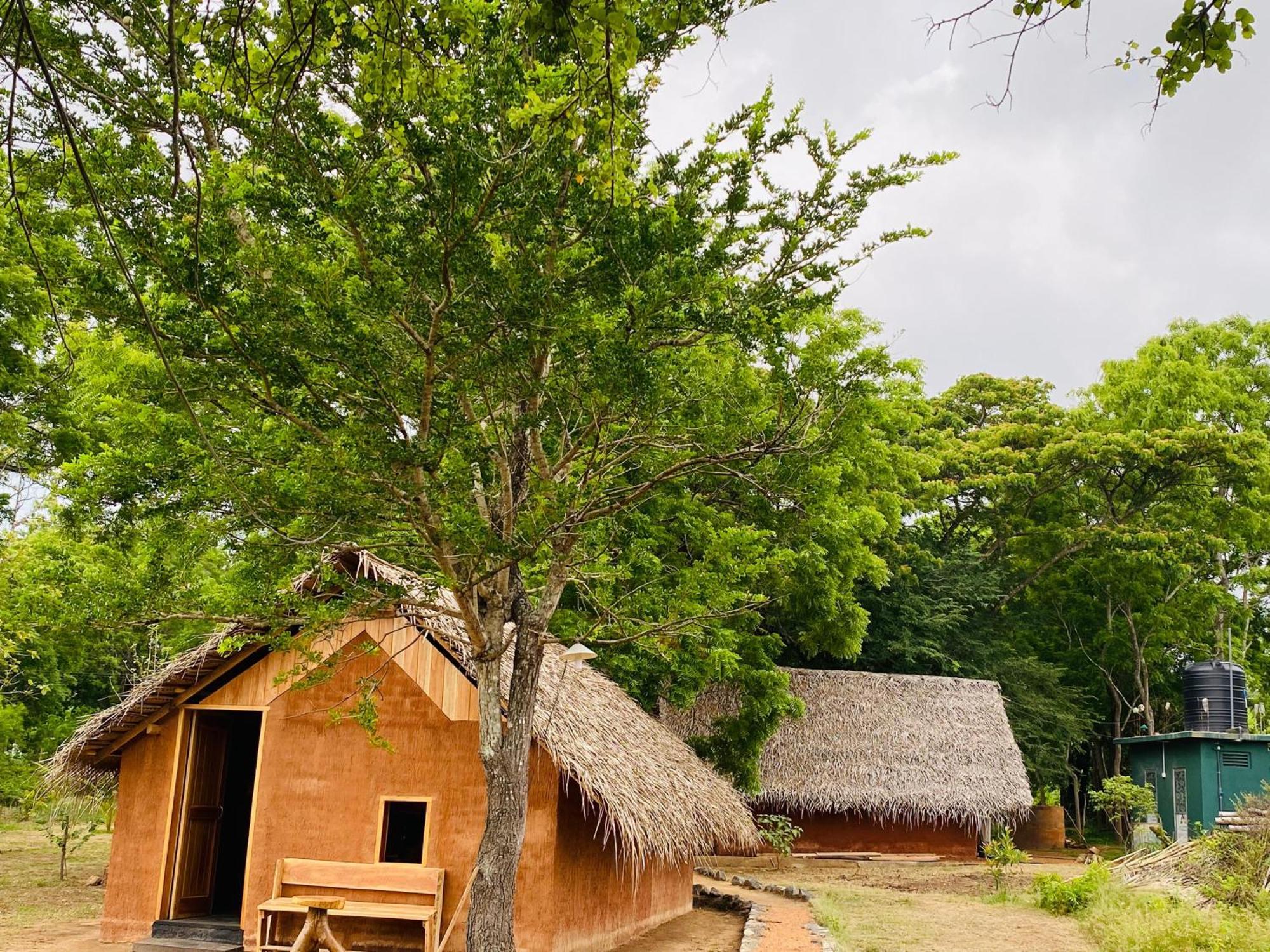 Lodge Yala Village Eco Tree House